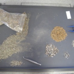 Sorting sieving residues from Arconciel/La Souche at the SAEF. April 2015
